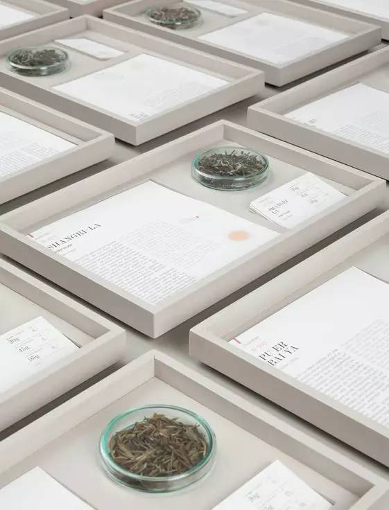 温故知新全文阅读,温故知新最新完整视频