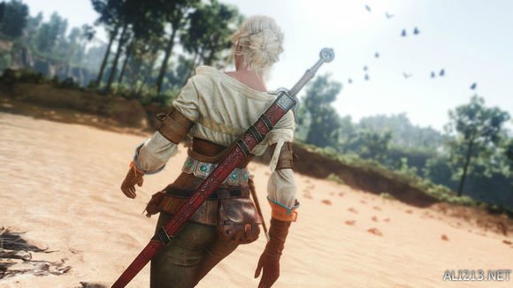 巫师3狂猎各类流派图,巫师3各流派攻略