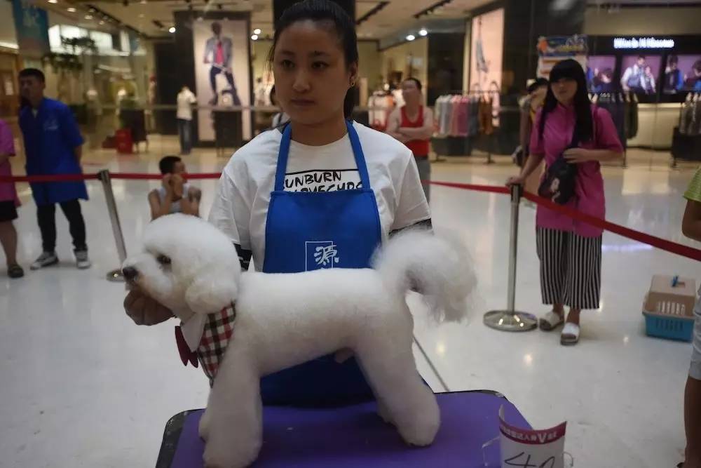 “源食”第五届中国宠物造型达人秀——哈尔滨赛区报道
