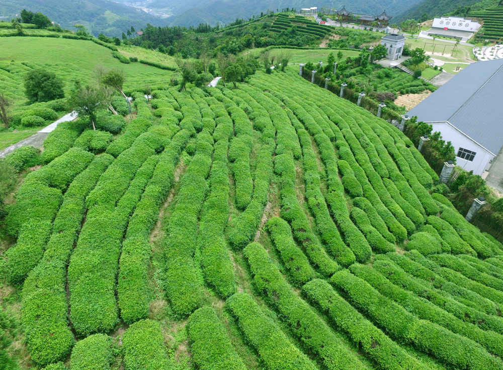 上帝之眼看东营,上帝之眼俯瞰众生