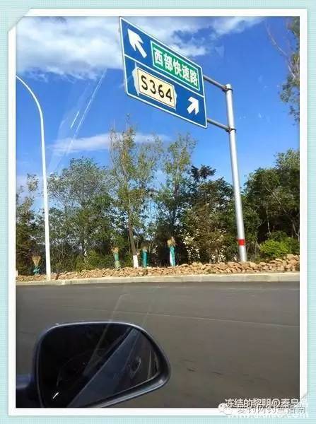 周日垂钓,洋河钓鲫鱼