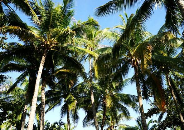 三亚之旅美食攻略,三亚旅游攻略三亚海鲜