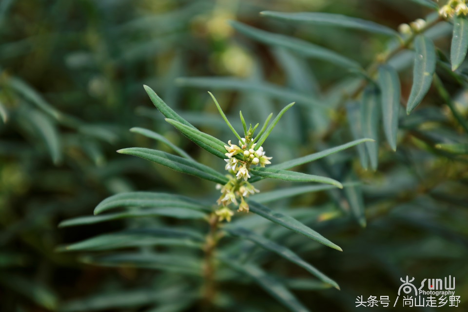 炎炎夏日山中纳凉,炎炎夏日山间小溪带来一丝清凉