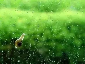 脾虚和脾虚湿气重有什么区别,肝郁脾虚有湿气先除湿吗