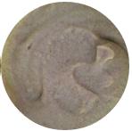 米粉测评一览表,米粉整箱测评