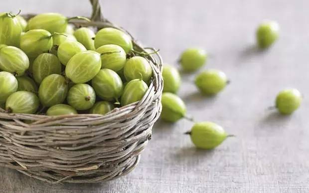 树莓蔓越莓傻傻分不清楚,蔓越莓树莓覆盆子