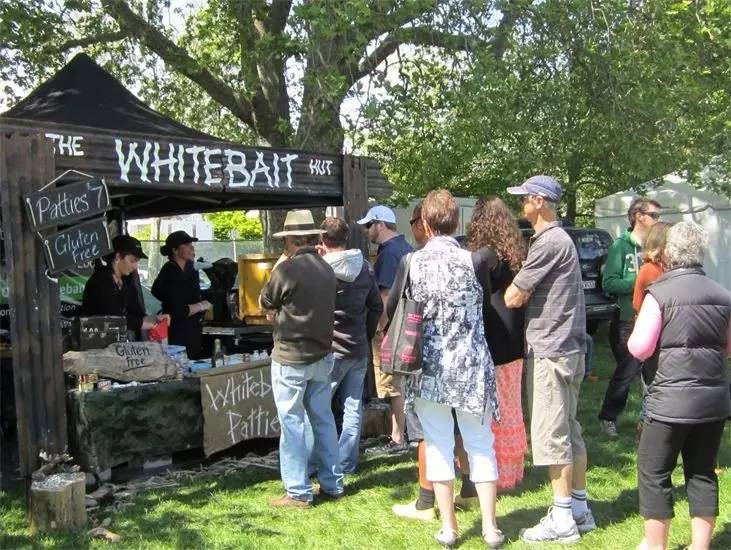 新西兰南岛大海,新西兰海鲜哪个最好吃视频