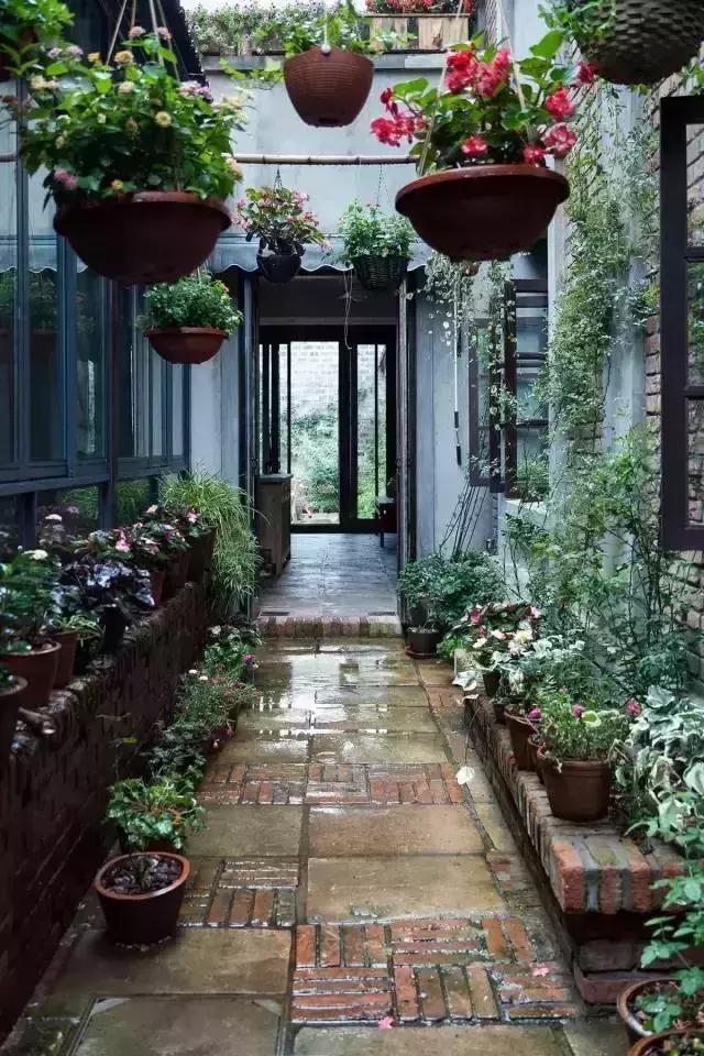 南京花迹,南京绝美的金陵小城