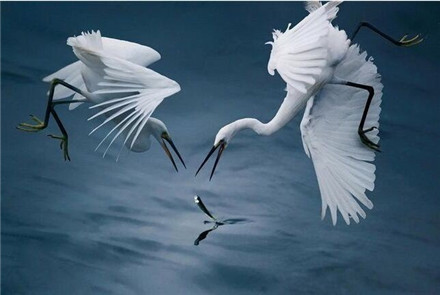 有哪些经典企业并购案例,2020年著名的并购案例