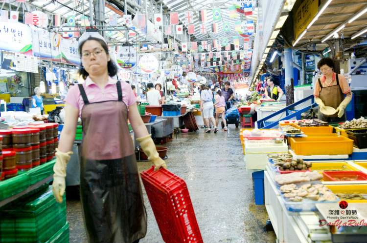 济州岛东门市场,济州岛海鲜市场