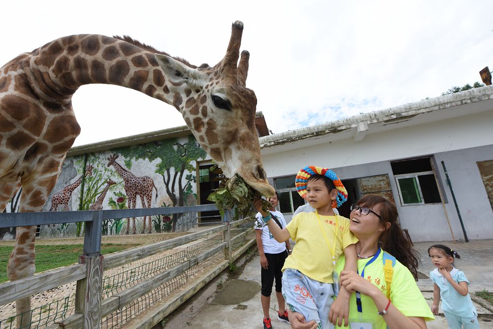 50名耳障儿童游贵阳野生动物园边看动物边学发音