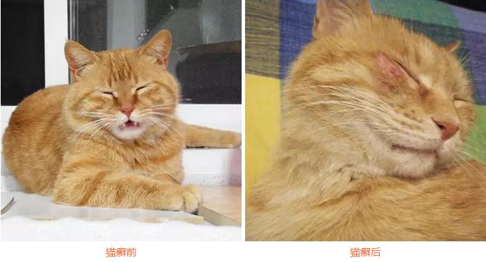 麻宝宝的抖音视频,麻宝宝