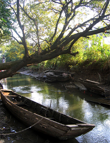 顺德农庄美食推荐,顺德有哪些好吃的山上农庄