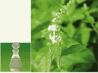 夏天哪些药物该进冰箱了,夏天药品冷藏吗