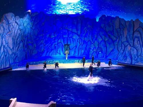 珠海长隆海洋王国游玩攻略暑假,两天一夜珠海长隆海洋王国攻略