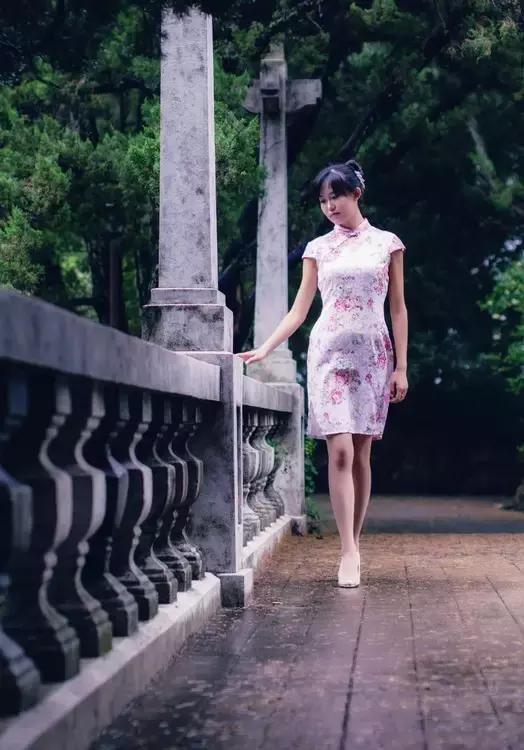 梦里花落知多少全文,梦里花落知多少原唱