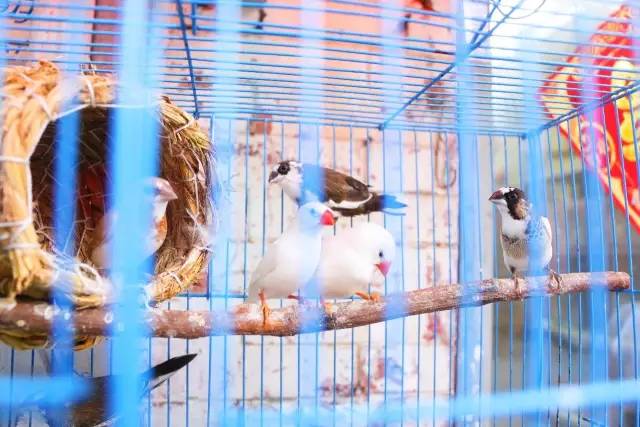 泉州一条老街一段故事,泉州老街巷的传说