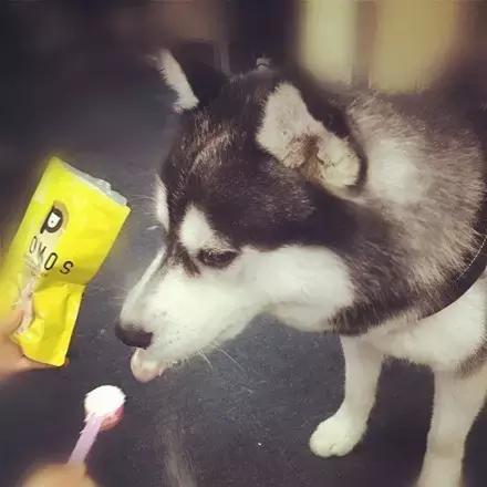 肿么办,就是超爱喝这款山羊奶粉拦都拦不住!