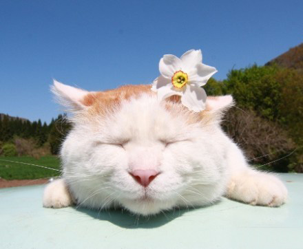 麻宝宝的抖音视频,麻宝宝