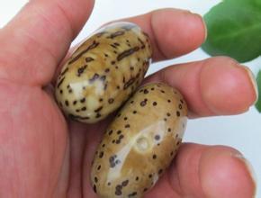 怎么打磨它?你会吗?反正我会了