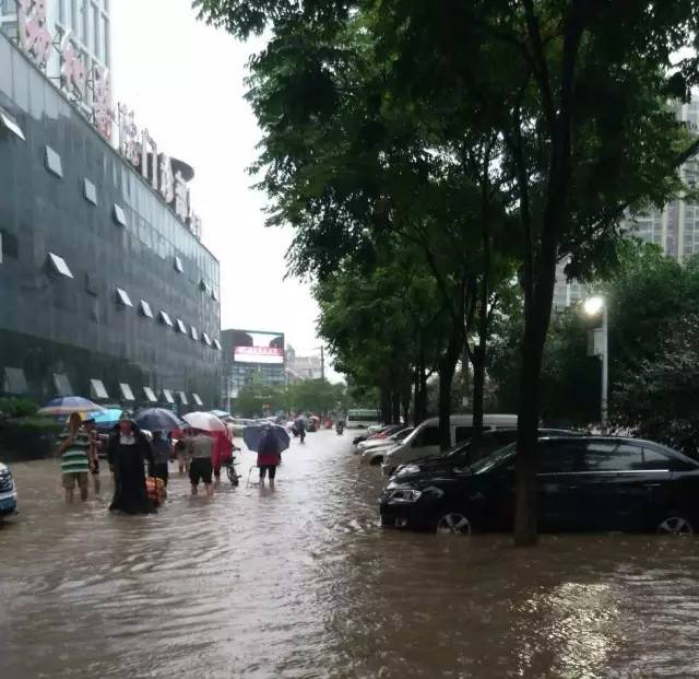 致敬暴雨时守护我们的人,致敬在暴雨中的坚守