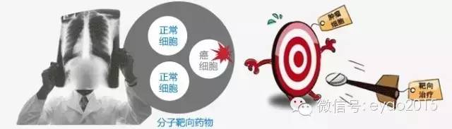 肺癌靶向药物每盒多少粒,肺癌靶向药物拓得康上市