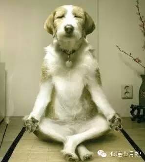 痱子跟湿疹能不能靠肉眼辨认出来,湿疹痱子傻傻分不清文章