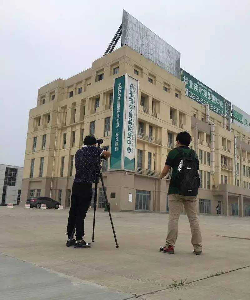 我在天津等你完整版,我在天津等你原版