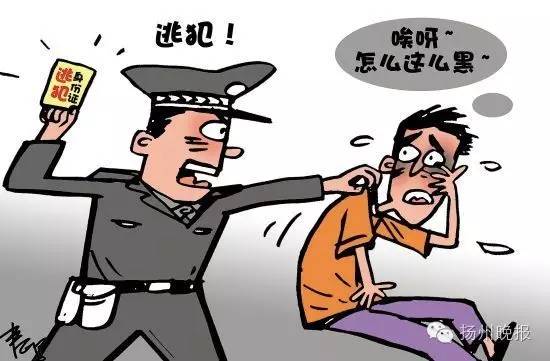 女教师卖淫被抓案件,女教师被卖12年后续