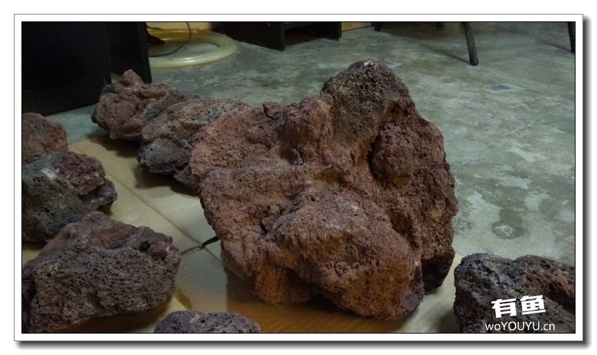 新手小白原生缸开缸教程,鱼缸怎么用高锰酸钾开缸详细教程