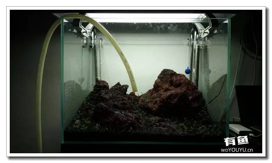 新手小白原生缸开缸教程,鱼缸怎么用高锰酸钾开缸详细教程