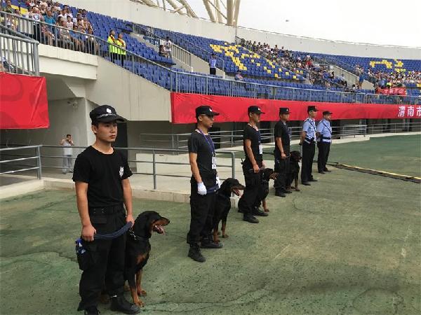 渭南公安十一安保,陕西渭南国际青年足球锦标赛