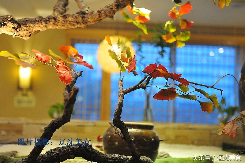 沈阳最爱大保健？洗桑拿吃火锅看动漫打游戏，