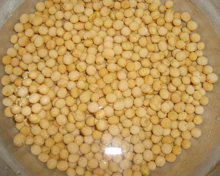 能不能晒好酱豆，曾是乡间评价巧妇的重要标准｜豫记