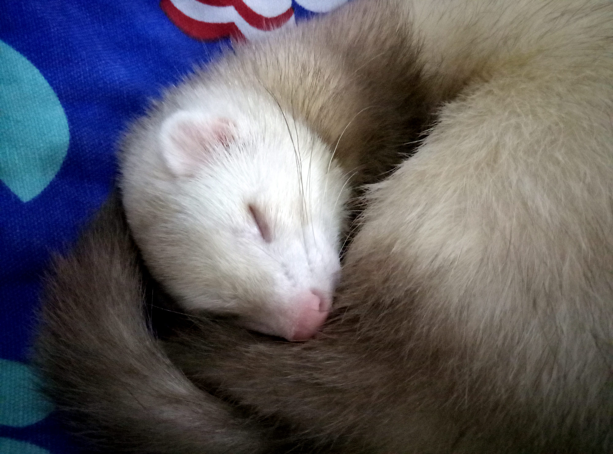 红蓝之争魅蓝3s红米3s,魅族红米3s测评