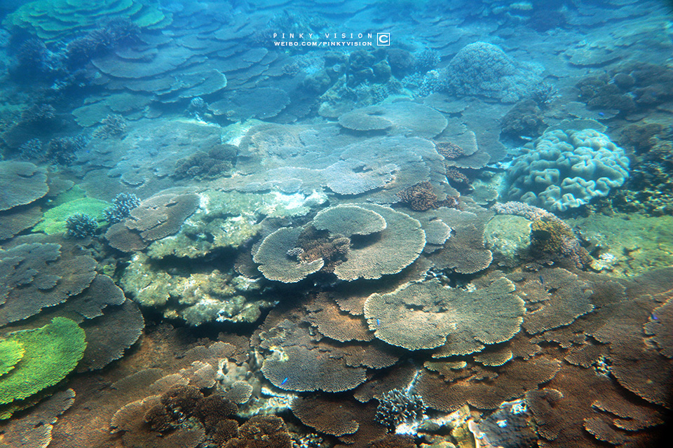 travel环球旅行,travel新旅行