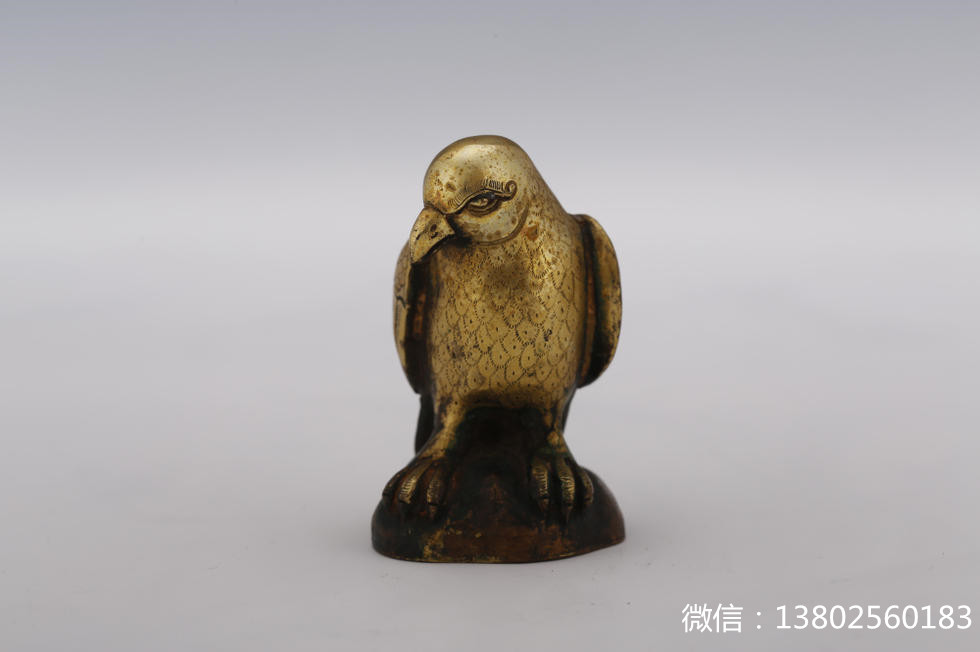 盘点那些大型萌宠的可爱瞬间,盘点这五个萌宠你觉得哪个最可爱