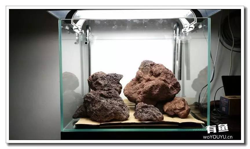 新手小白原生缸开缸教程,鱼缸怎么用高锰酸钾开缸详细教程