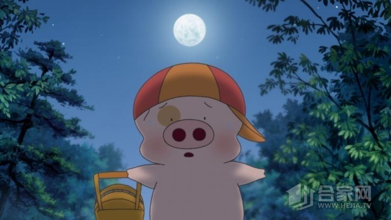 娱乐宝,娱乐宝鱼丸