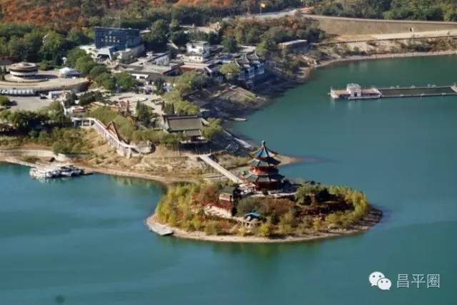 永定区冬桃新鲜采摘等你来,果园现摘冬桃脆甜