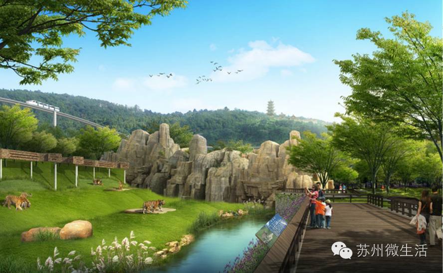 苏州乐园今天开放的项目,苏州挺住