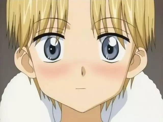 能捕捉宠物坐骑的生存游戏手游,能培养宠物像素游戏手游