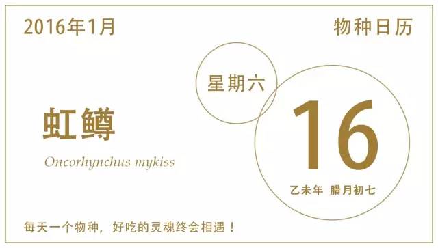 淡水三文鱼和虹鳟鱼的区别,三文鱼和淡水虹鳟的区别