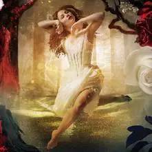 2017上海8月的音乐会,上海8月演出剧场