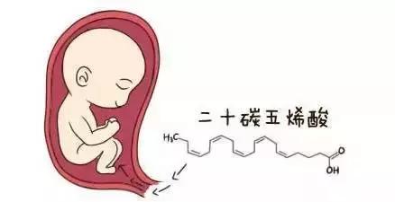 妈妈一定要知道七种禁忌食物,妈妈们要知道不能混吃的食物