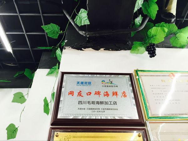 三亚天海一色演唱会,三亚亚龙湾一线海景复式