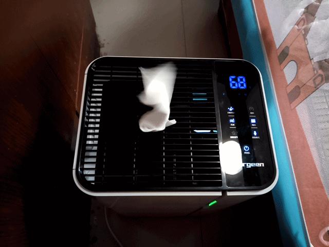 欧井除湿机正确使用方法,欧井除湿一体机怎么用