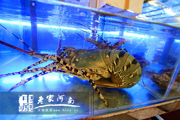 玩美假期马来西亚旅游,六日沙巴自由行攻略