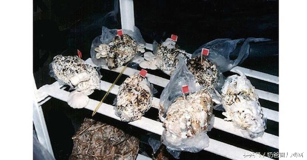 宝宝尿片小技巧,宝宝尿片可以重复使用吗