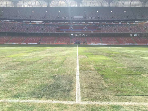 中国足球有去踢世界杯吗,中国足球该学谁